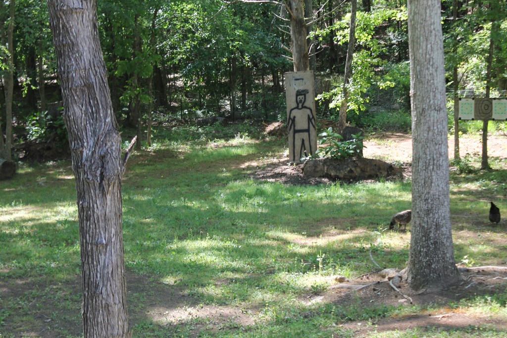 7375 Riverfork Road Waterloo, SC 29384 - Photo 45 of 50