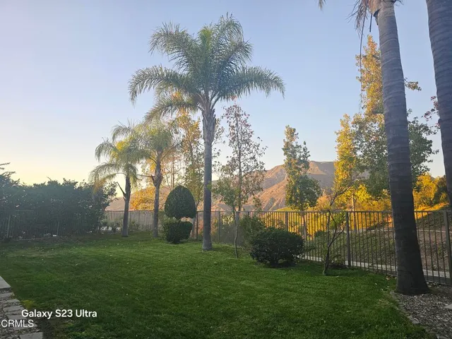 a view of a park with palm trees