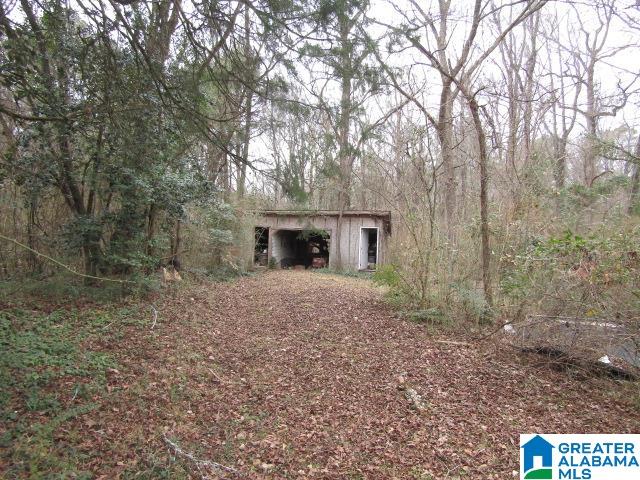 253 Old County Rd 109 Anniston, AL 36201 - Photo 9 of 10