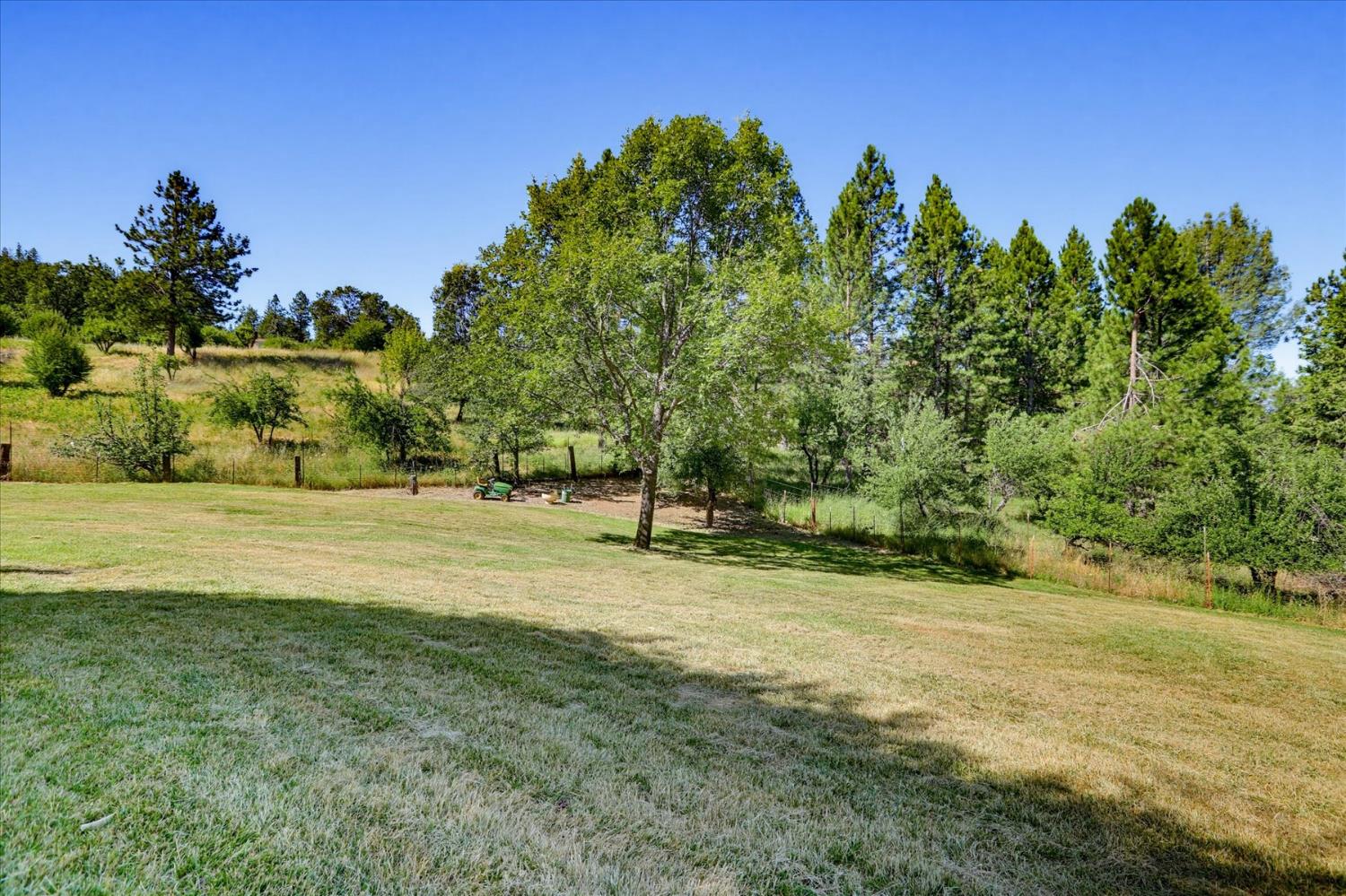 665 Gladycon Road Colfax, CA 95713 - Photo 6 of 57