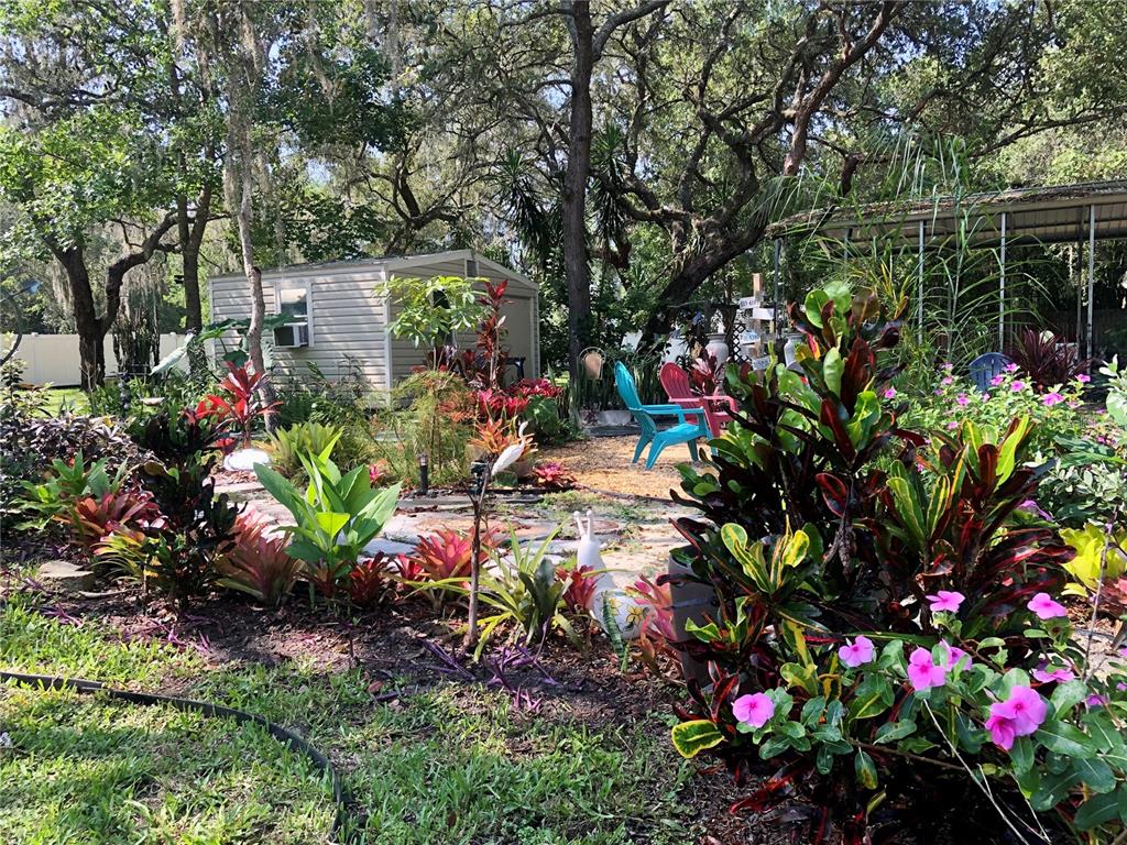 9846 Cardy Street New Port Richey, FL 34654 - Photo 67 of 92