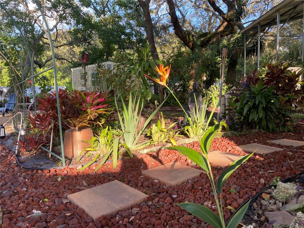9846 Cardy Street New Port Richey, FL 34654 - Photo 74 of 92