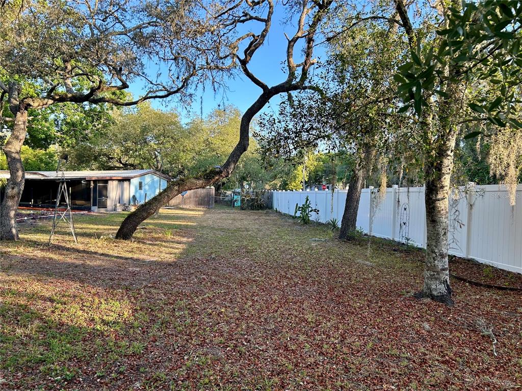9846 Cardy Street New Port Richey, FL 34654 - Photo 78 of 92
