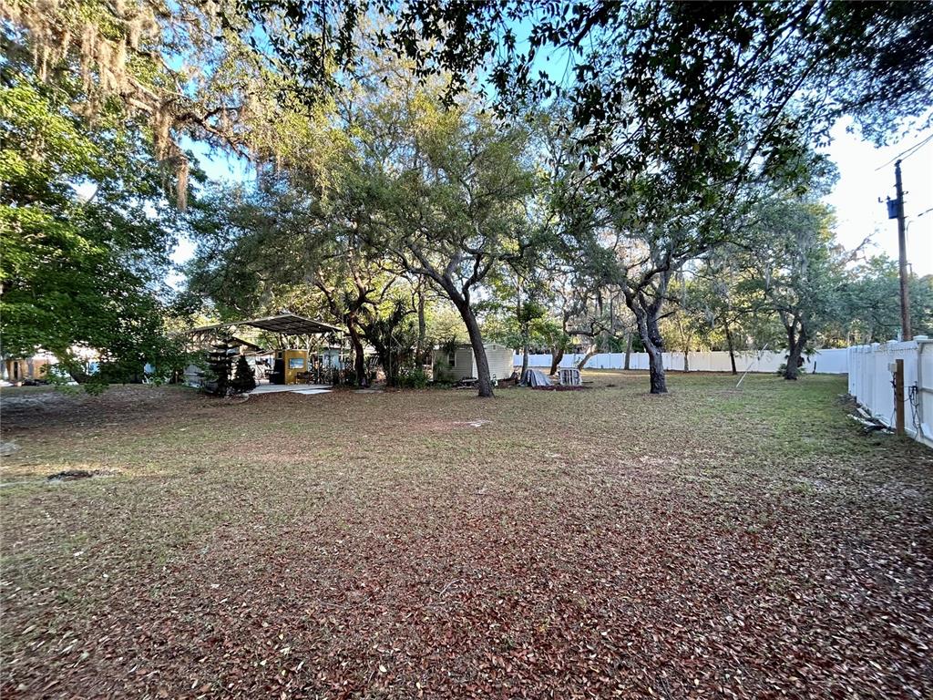 9846 Cardy Street New Port Richey, FL 34654 - Photo 82 of 92