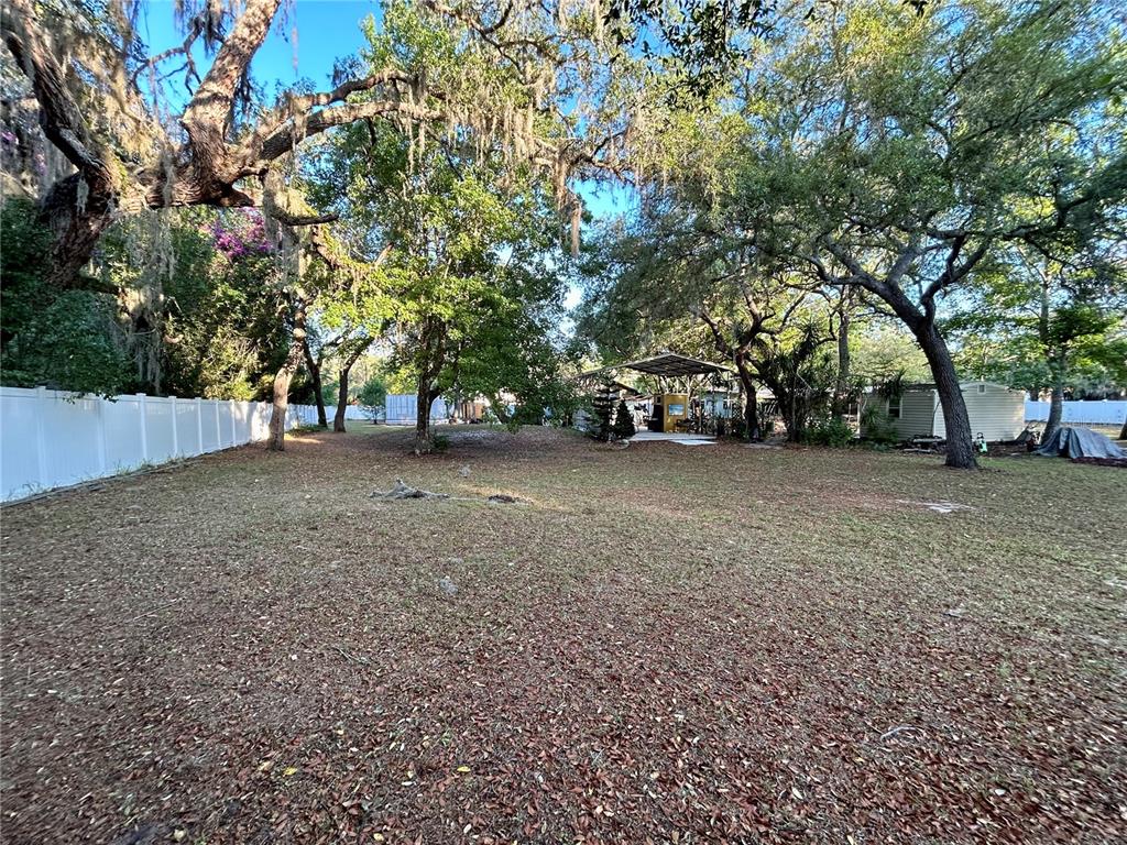 9846 Cardy Street New Port Richey, FL 34654 - Photo 83 of 92