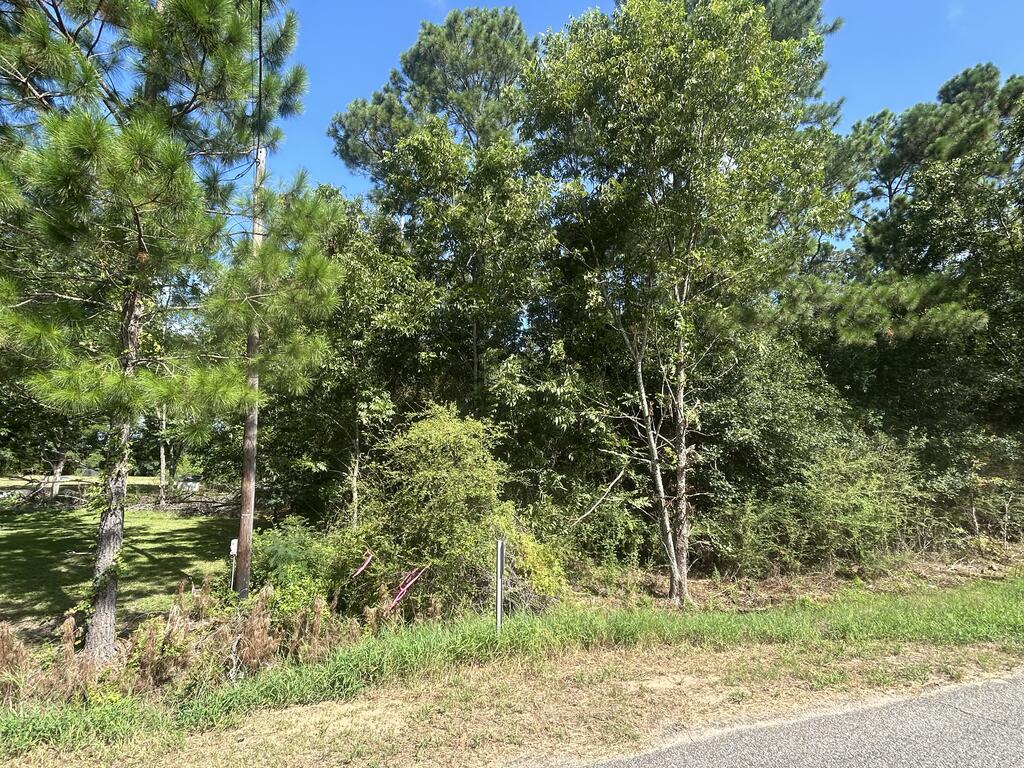 8350 South Co Road Cottonwood, AL 36320 - Photo 66 of 79 Gallery Image 66