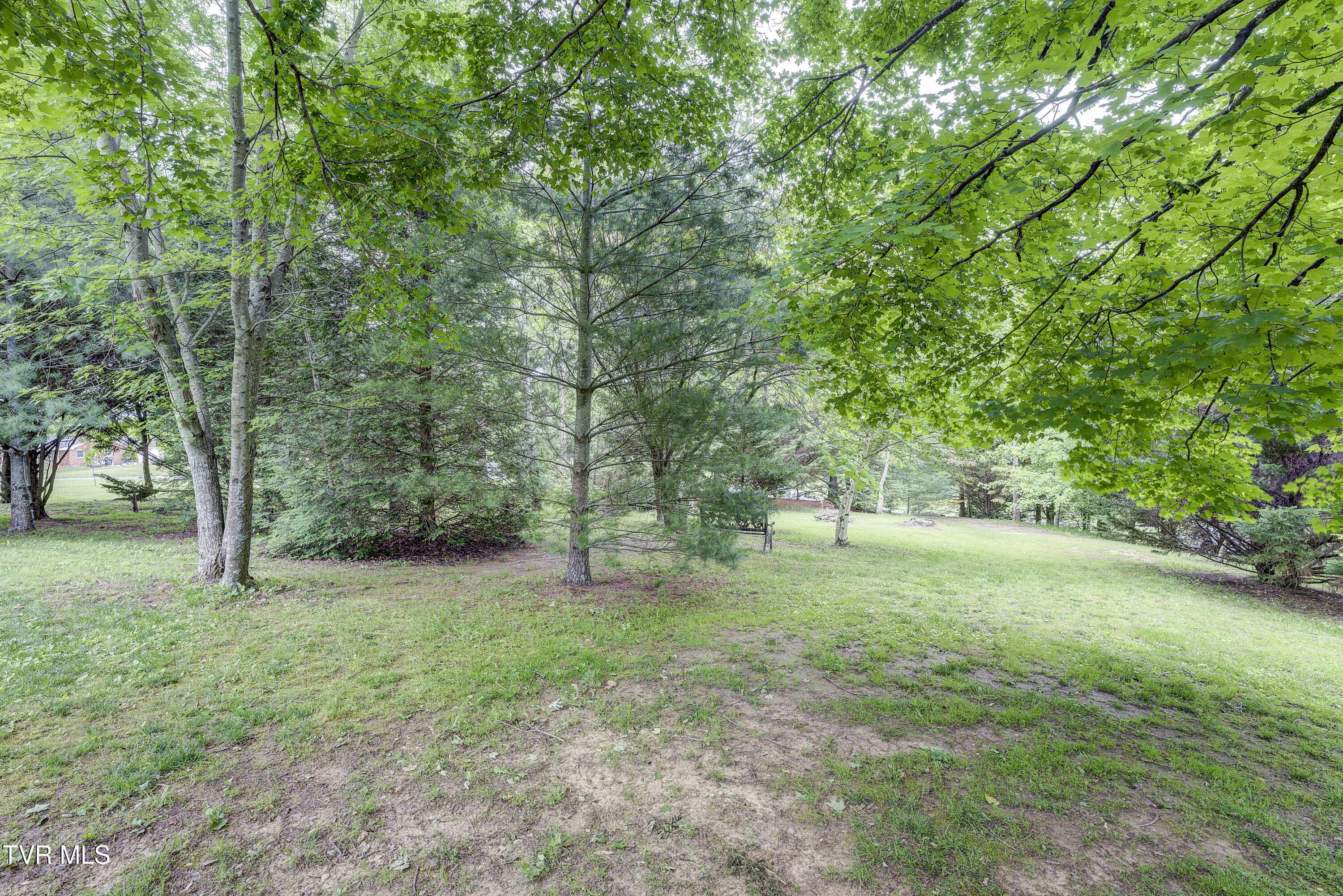 3395 Milburnton Road Limestone, TN 37681 - Photo 16 of 54 MilburtonRd-37