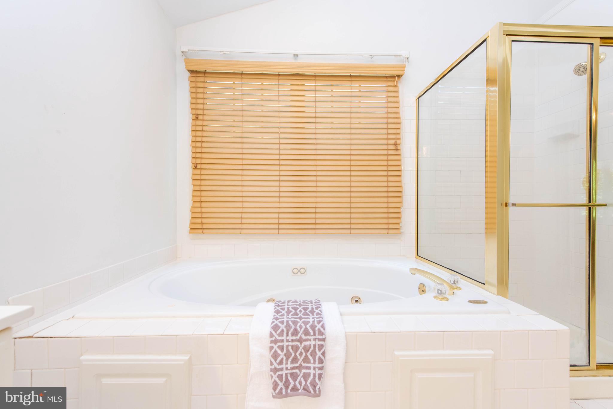 3108 Bold Ruler Court Bowie, MD 20721 - Photo 28 of 54 Master Bath