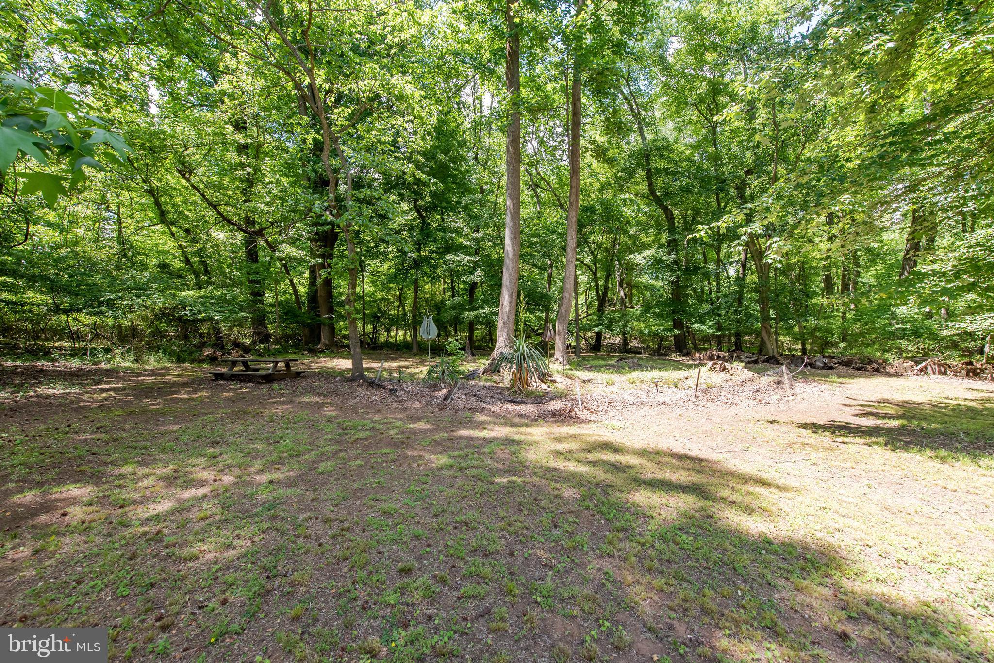 3108 Bold Ruler Court Bowie, MD 20721 - Photo 52 of 54 Backyard