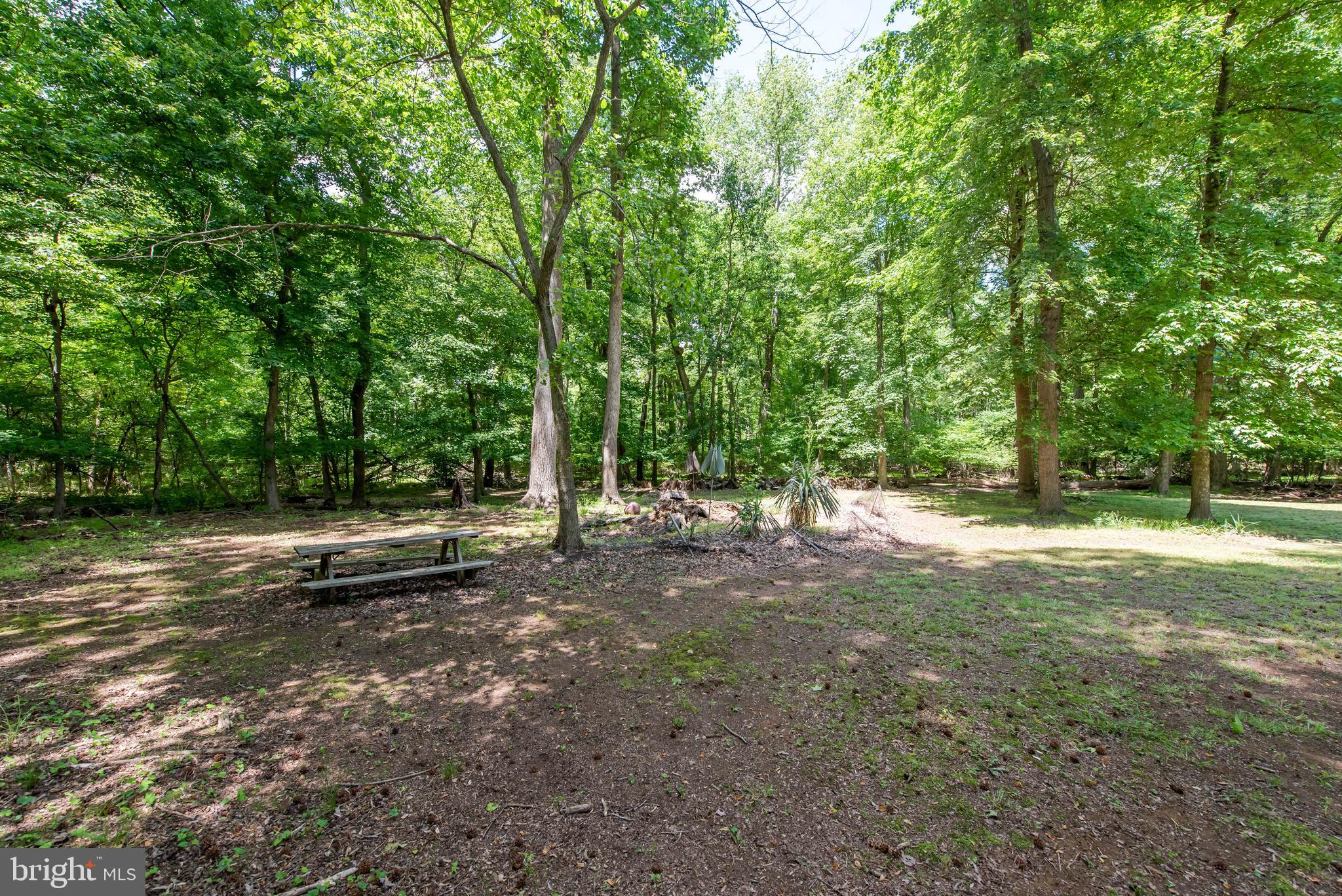 3108 Bold Ruler Court Bowie, MD 20721 - Photo 53 of 54 Backyard