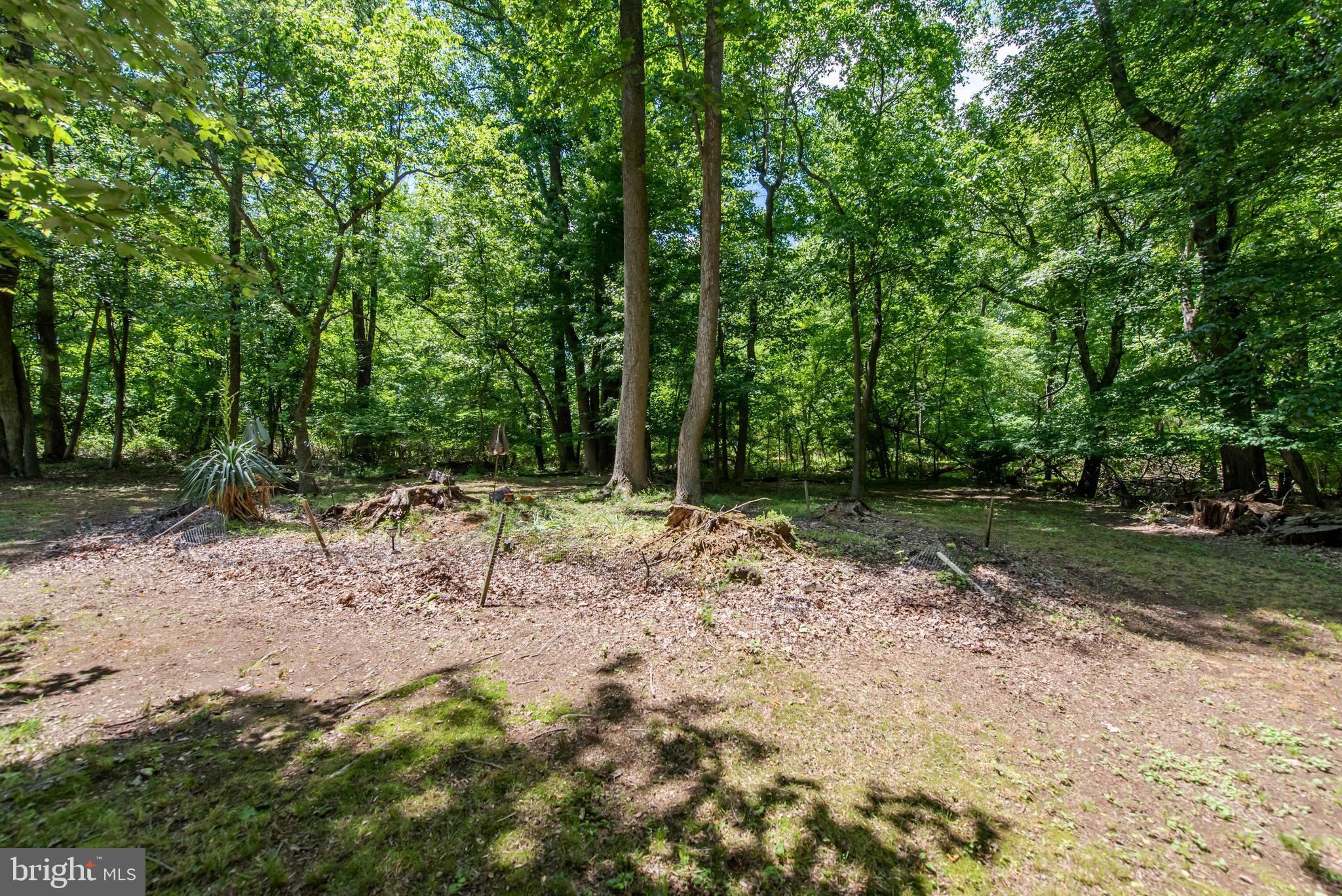 3108 Bold Ruler Court Bowie, MD 20721 - Photo 54 of 54 Backyard