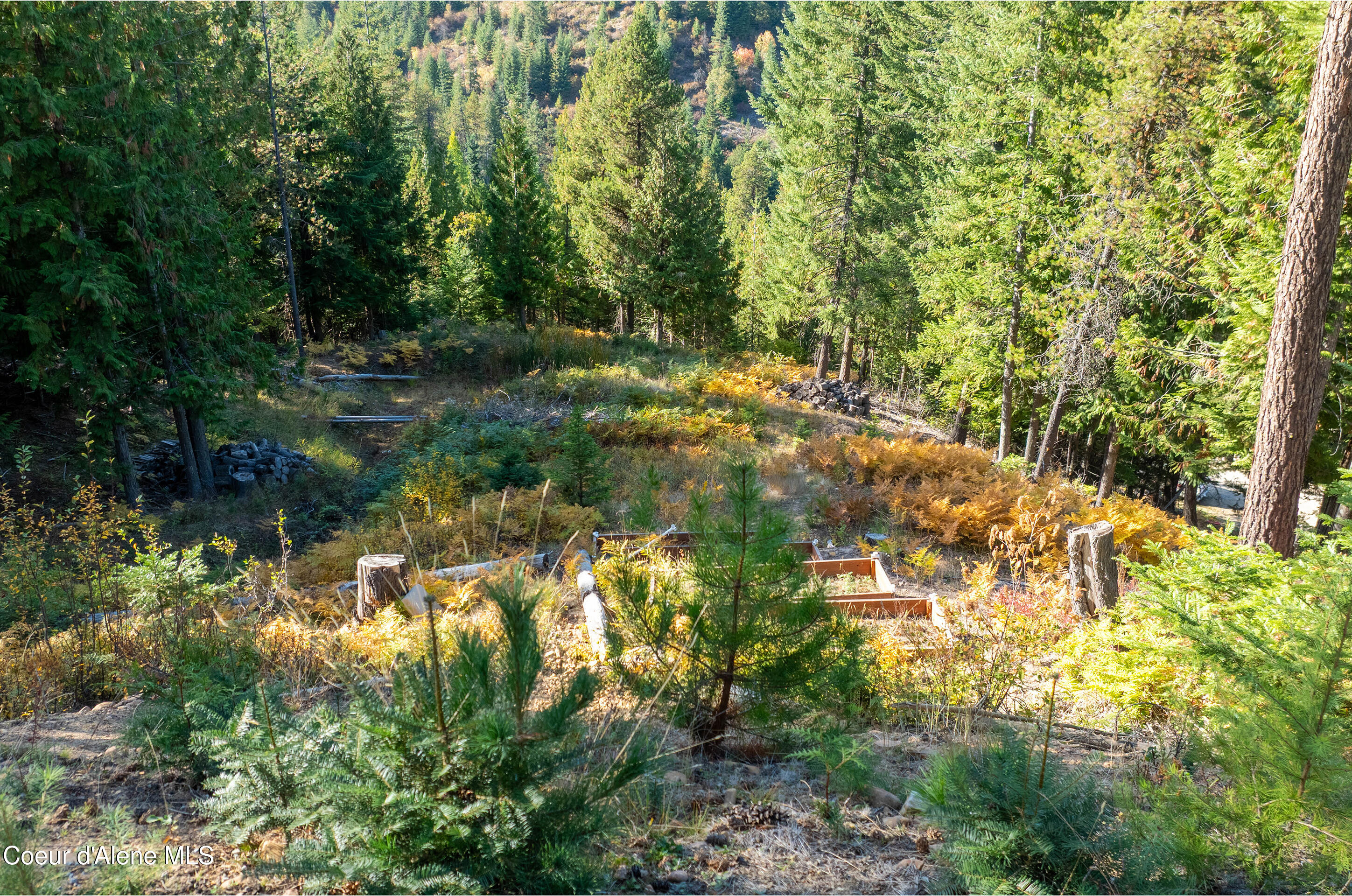 625 East Fork French Gulch Road Pinehurst, ID 83850 - Photo 14 of 29 View From Deck