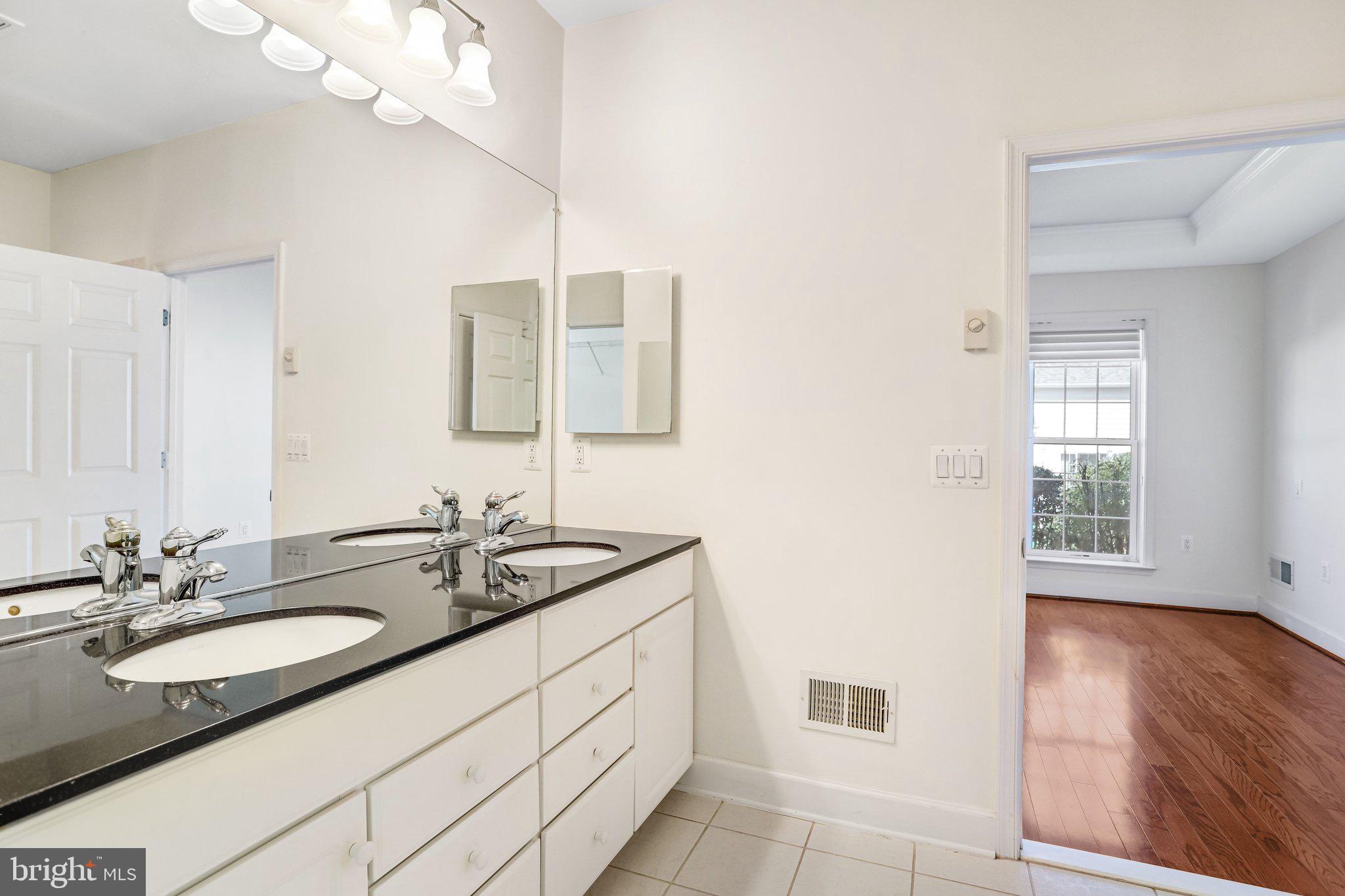 44406 Adare Manor Square Ashburn, VA 20147 - Photo 17 of 58 Primary Bath with Granite and Upgraded Cabinets
