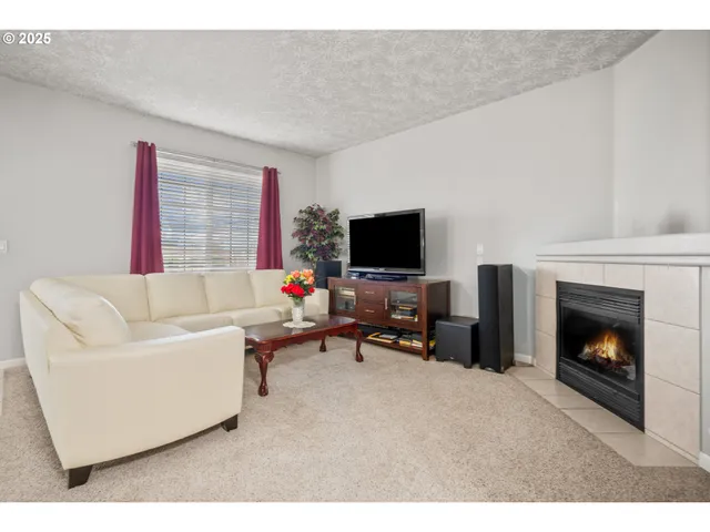 a living room with furniture a fireplace and a flat screen tv