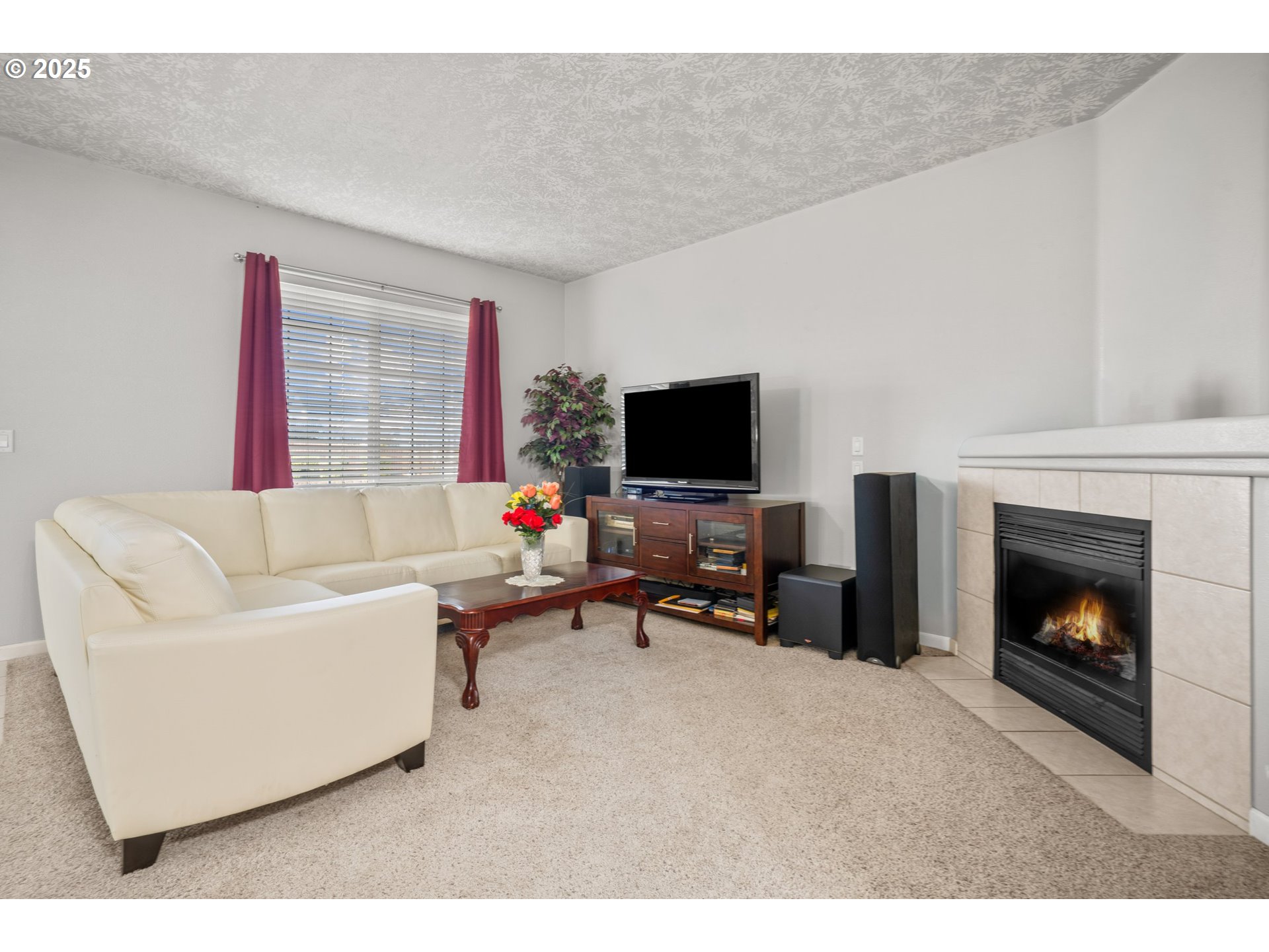 4199 Geranium Loop Northeast Salem, OR 97305 - Photo 5 of 43 a living room with furniture a fireplace and a flat screen tv