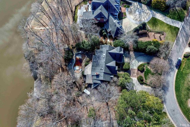 a picture of a tree with a yard