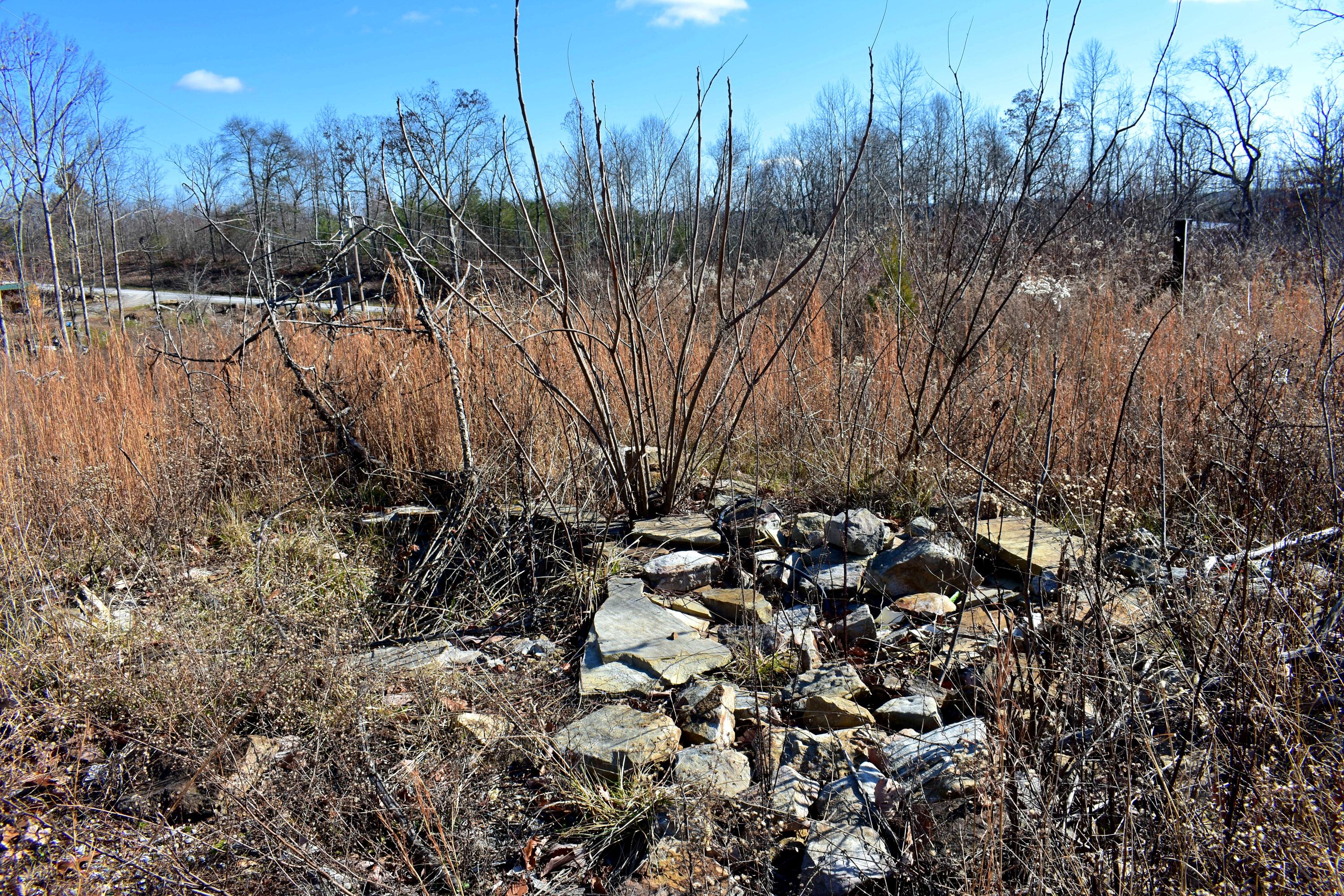 767 Big Ridge Road Spring City, TN 37381 - Photo 14 of 20 14