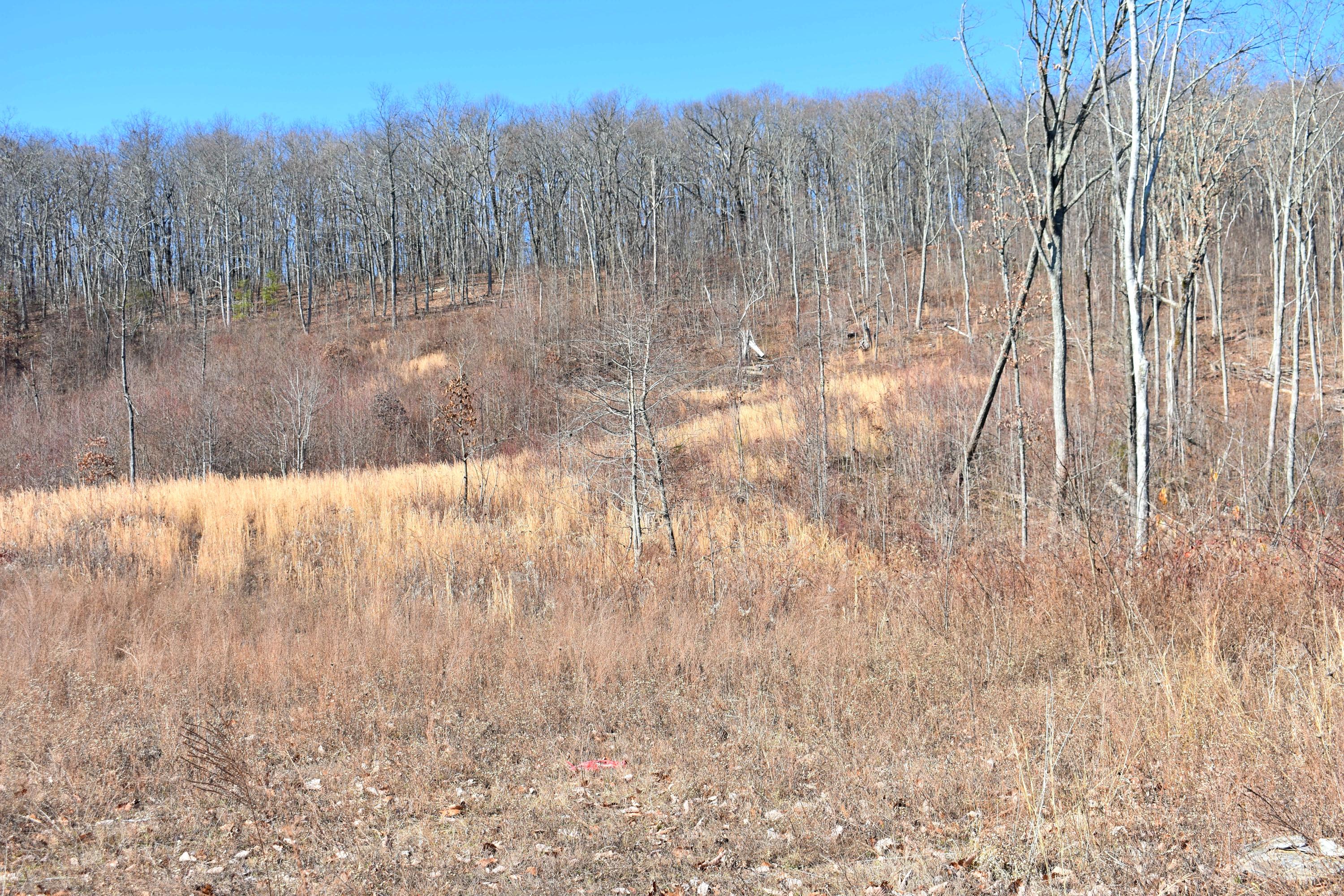 767 Big Ridge Road Spring City, TN 37381 - Photo 15 of 20 15