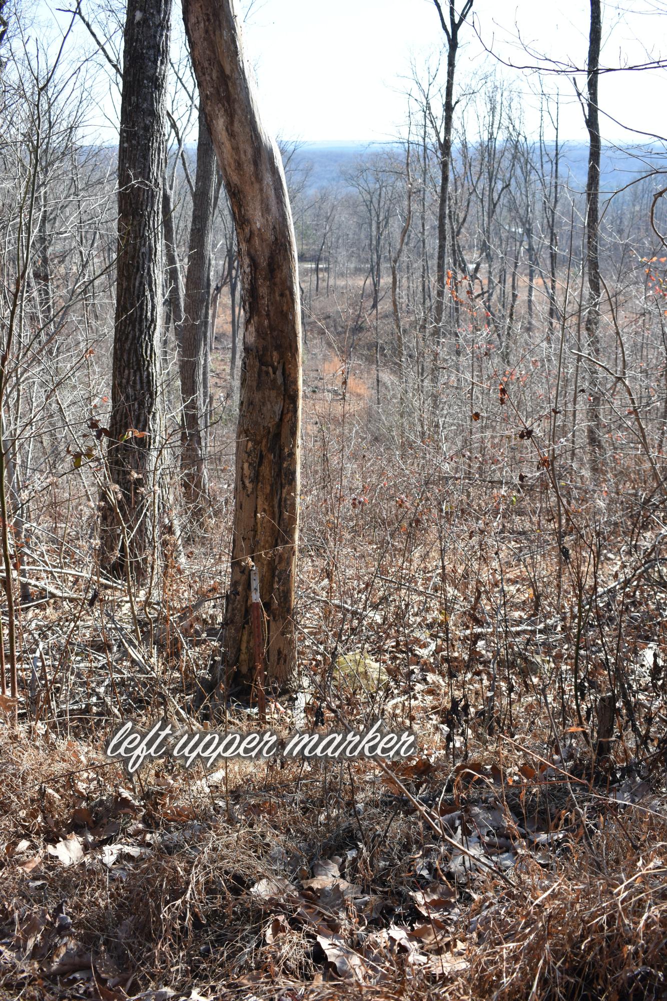 767 Big Ridge Road Spring City, TN 37381 - Photo 16 of 20 16