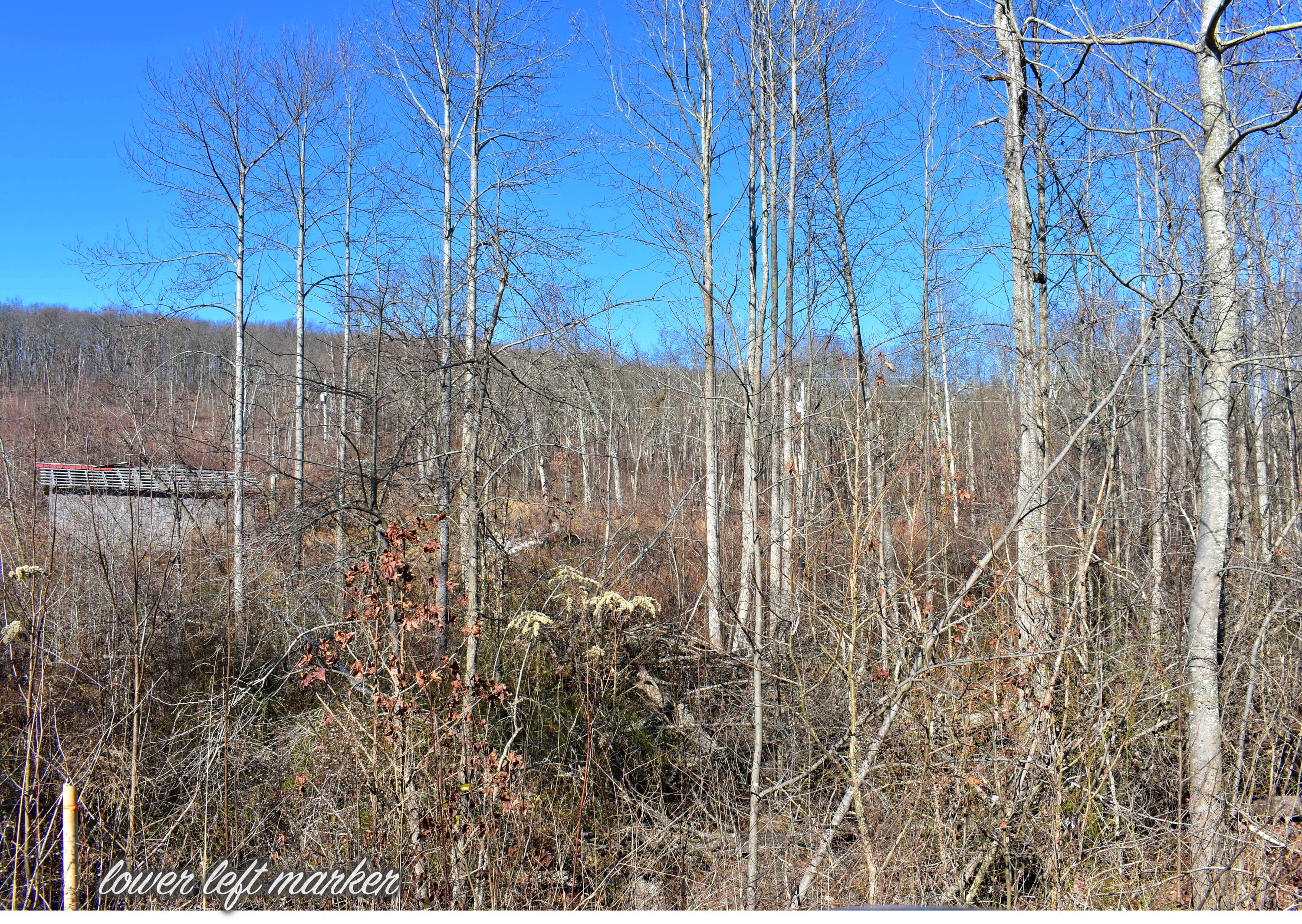 767 Big Ridge Road Spring City, TN 37381 - Photo 18 of 20 18