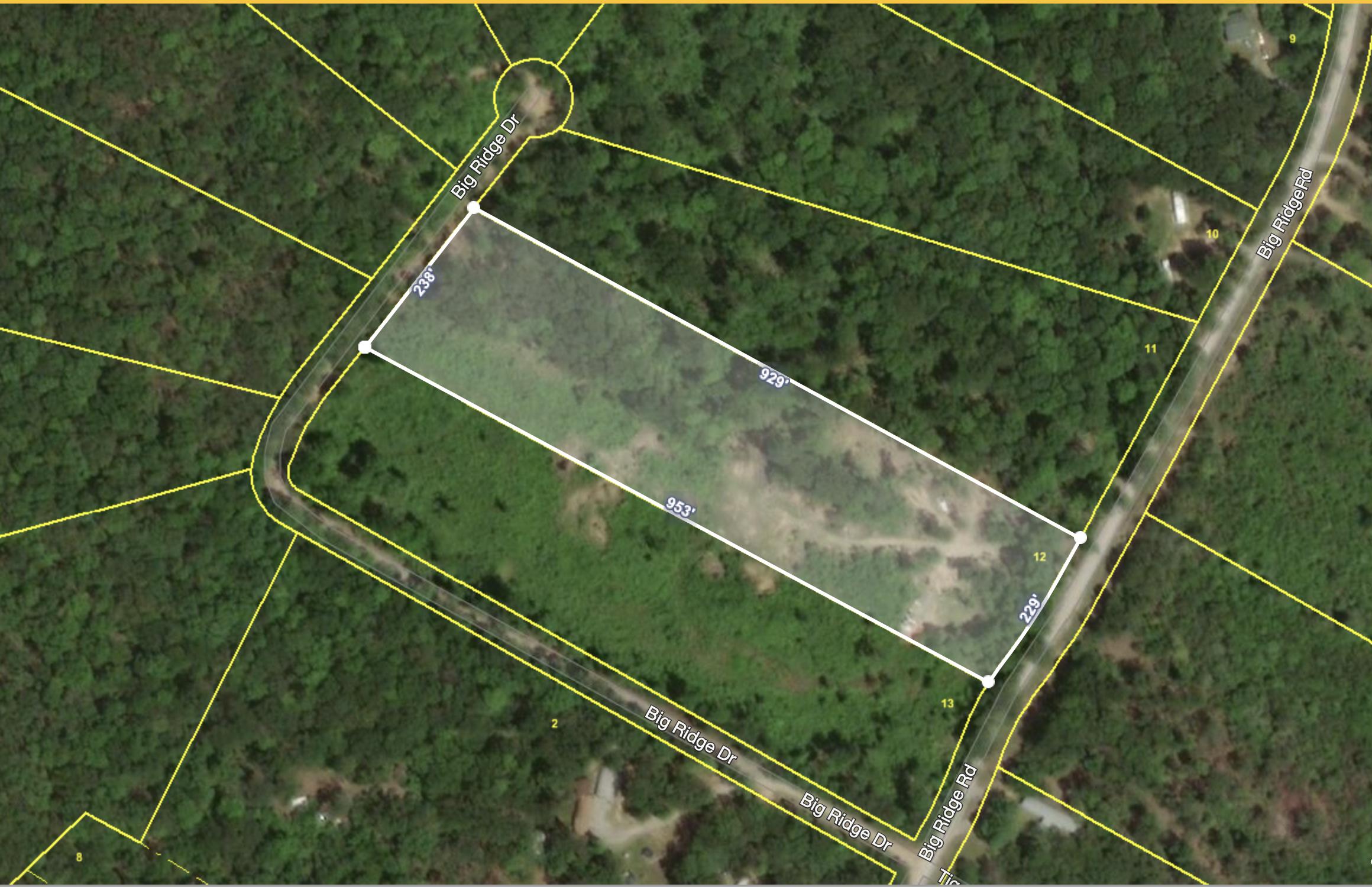 767 Big Ridge Road Spring City, TN 37381 - Photo 19 of 20 19
