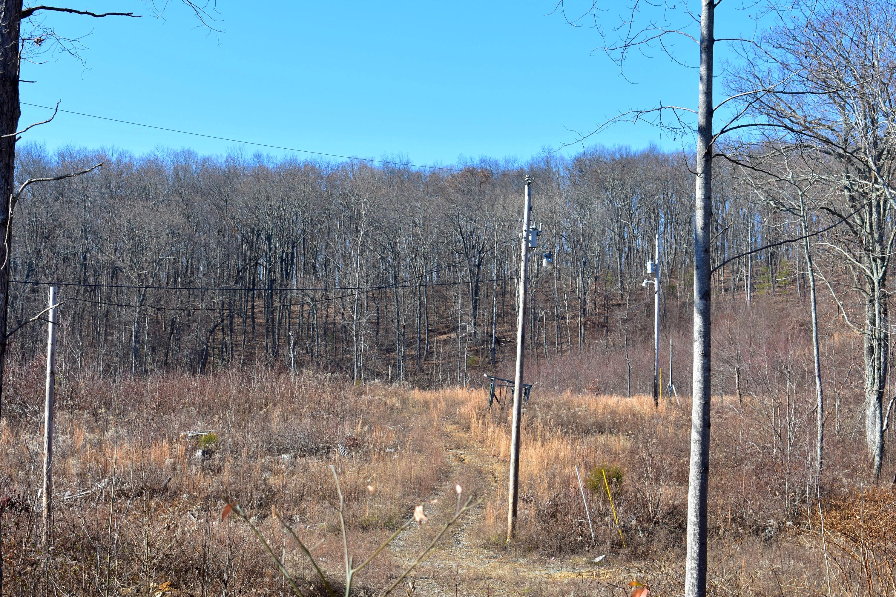 767 Big Ridge Road Spring City, TN 37381 - Photo 20 of 20 DSC_0477