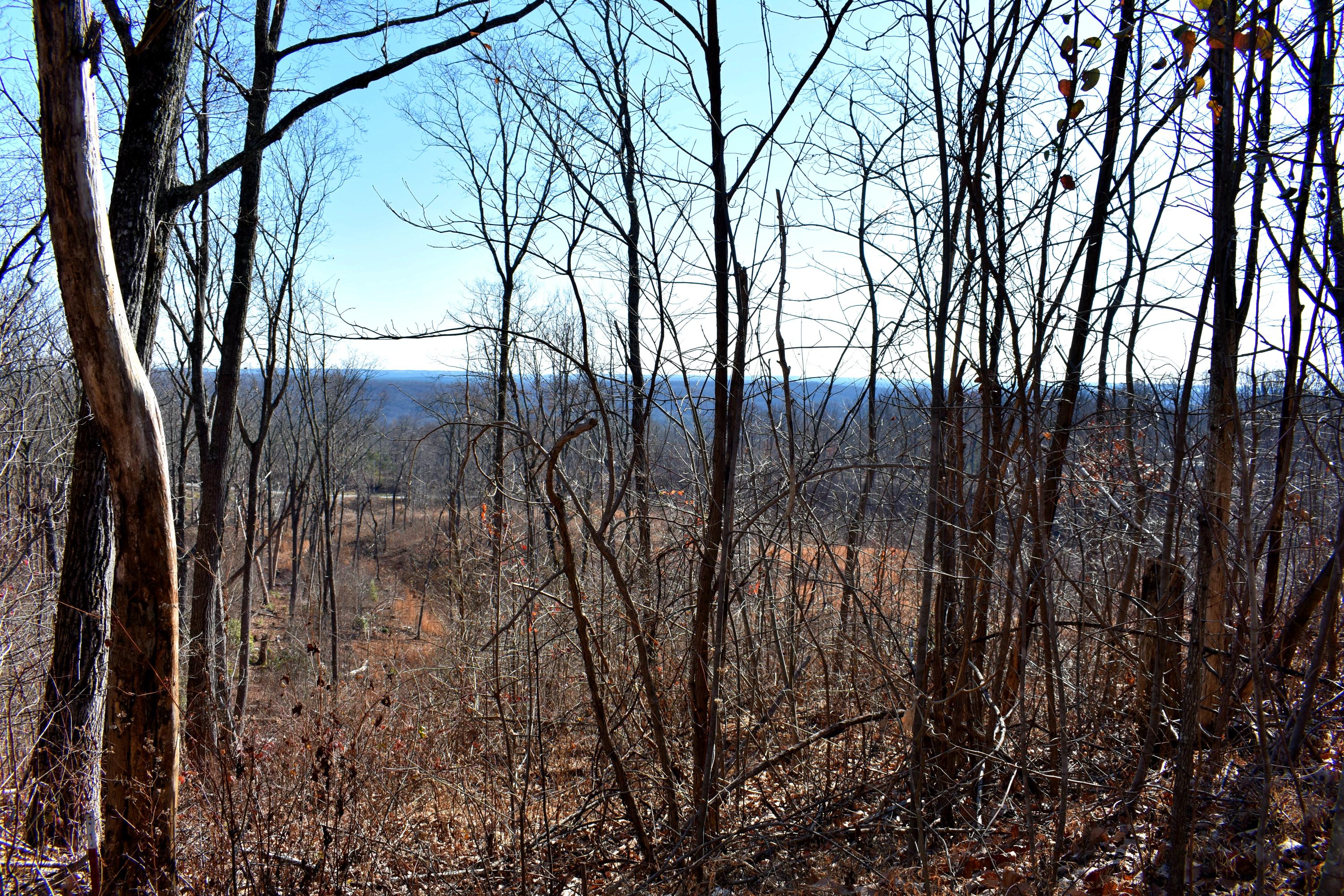 767 Big Ridge Road Spring City, TN 37381 - Photo 3 of 20 3