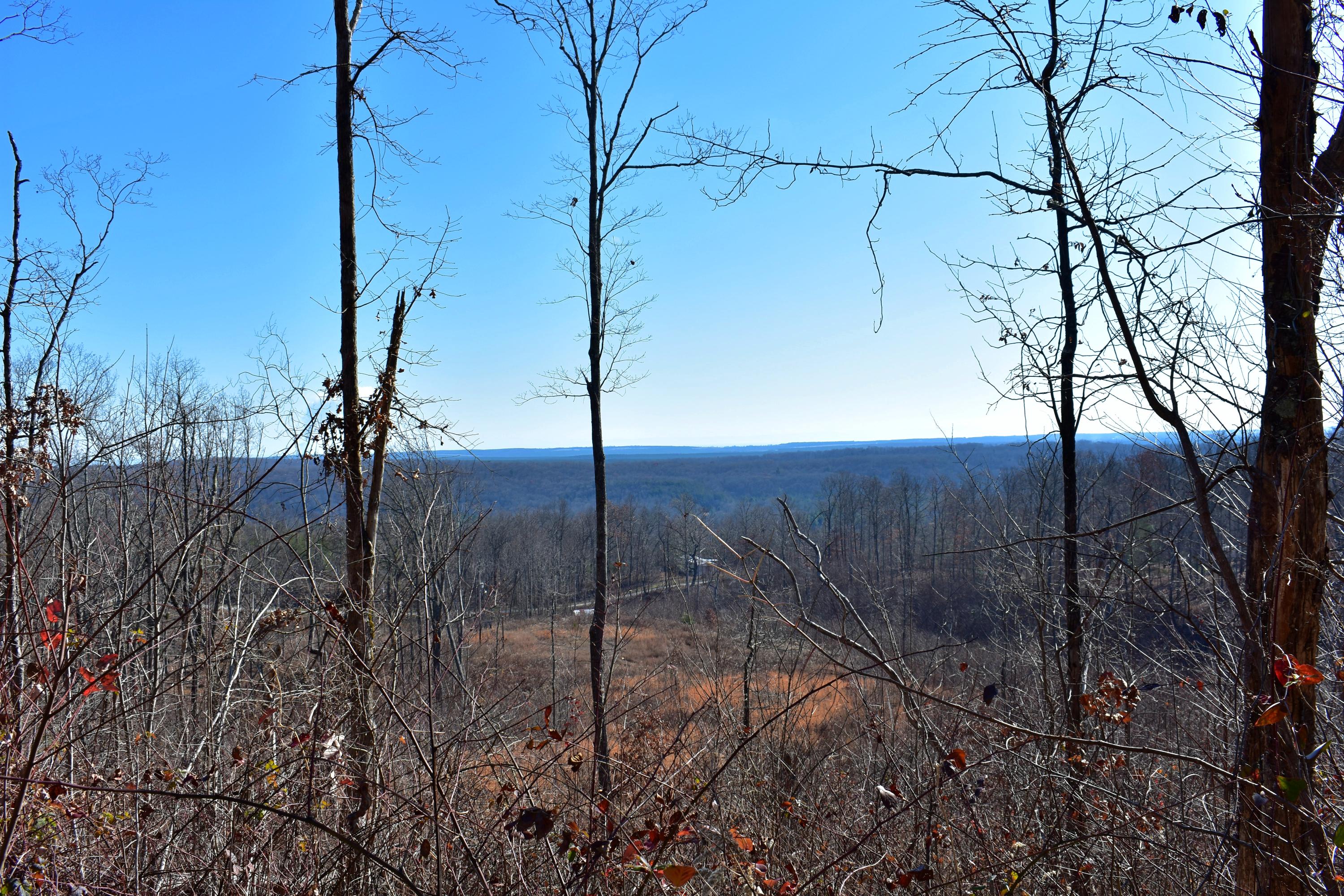 767 Big Ridge Road Spring City, TN 37381 - Photo 7 of 20 7