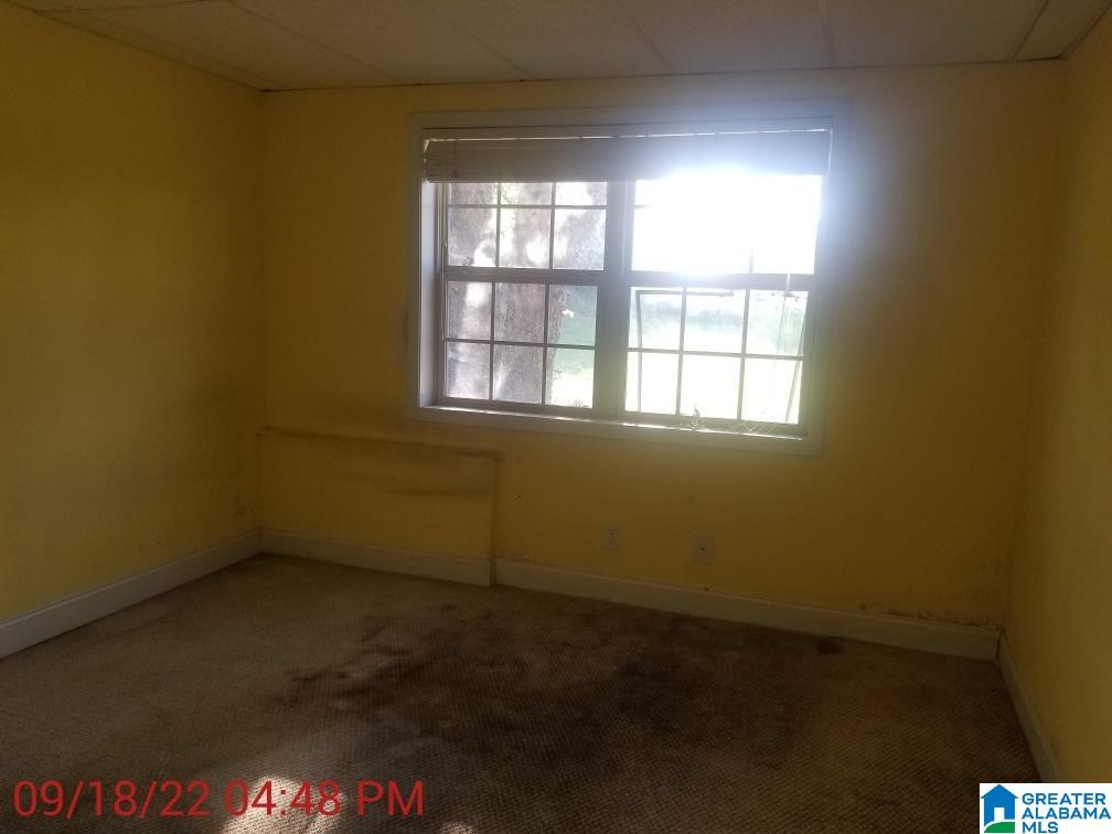 1281 Sanie Road Odenville, AL 35120 - Photo 23 of 23