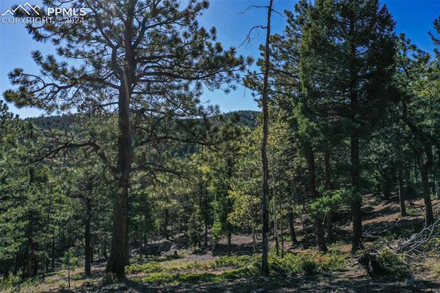 1100 Elk Ridge South Divide, CO 80814 - Photo 21 of 34