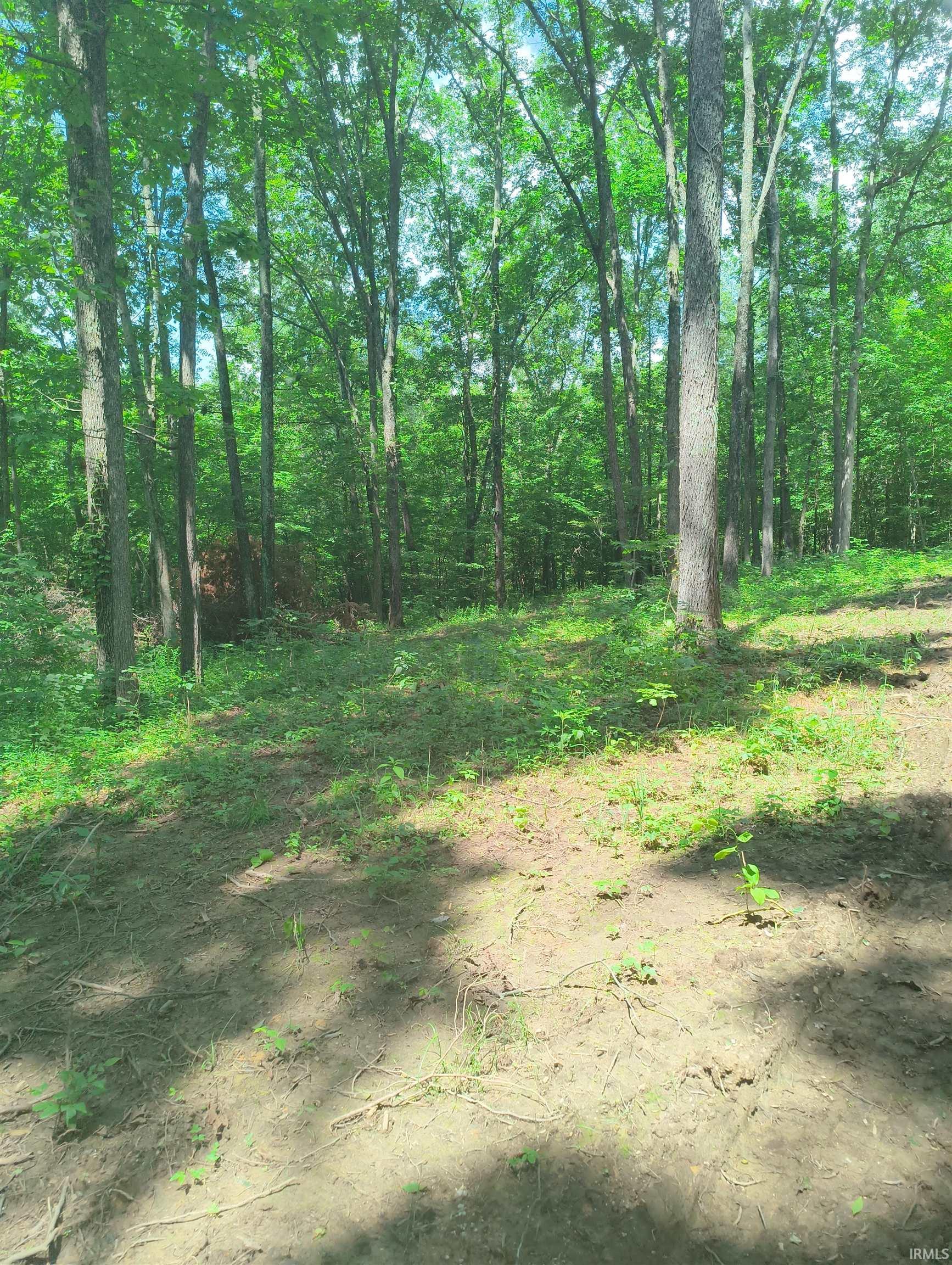 2500 South Coalmine Road Bloomfield, IN 47424 - Photo 1 of 12
