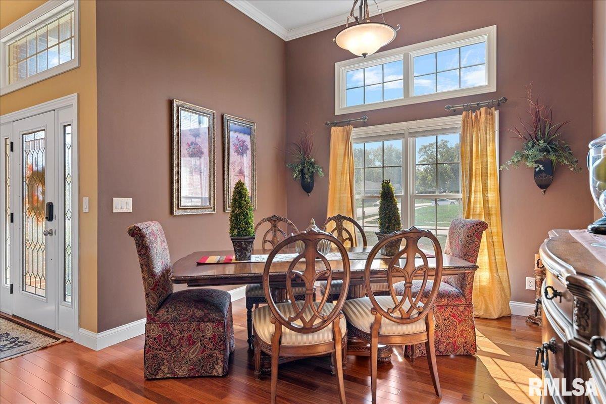 427 Spring Ridge Rochester, IL 62563 - Photo 17 of 52