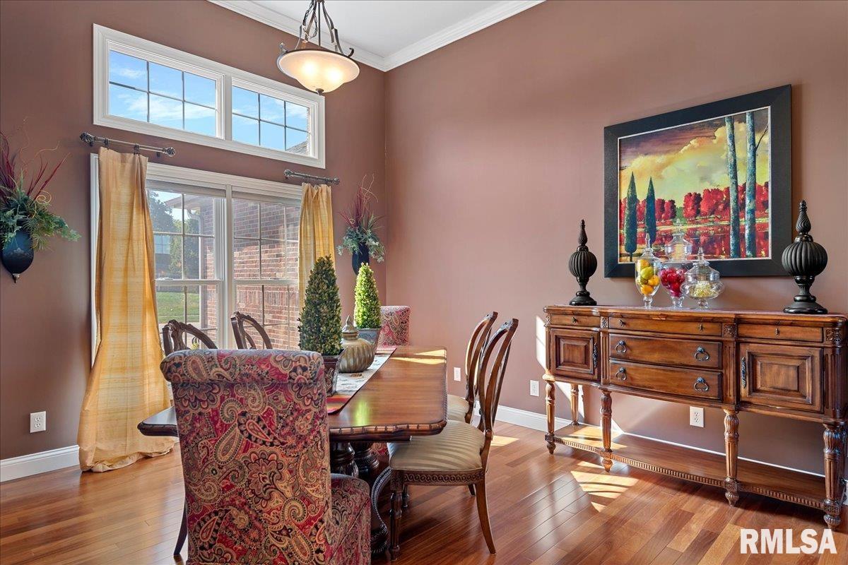 427 Spring Ridge Rochester, IL 62563 - Photo 19 of 52