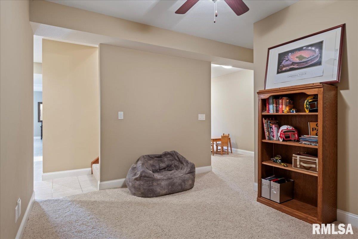 427 Spring Ridge Rochester, IL 62563 - Photo 32 of 52