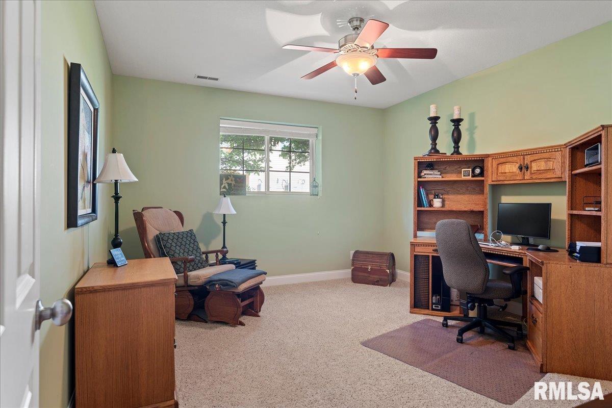 427 Spring Ridge Rochester, IL 62563 - Photo 38 of 52