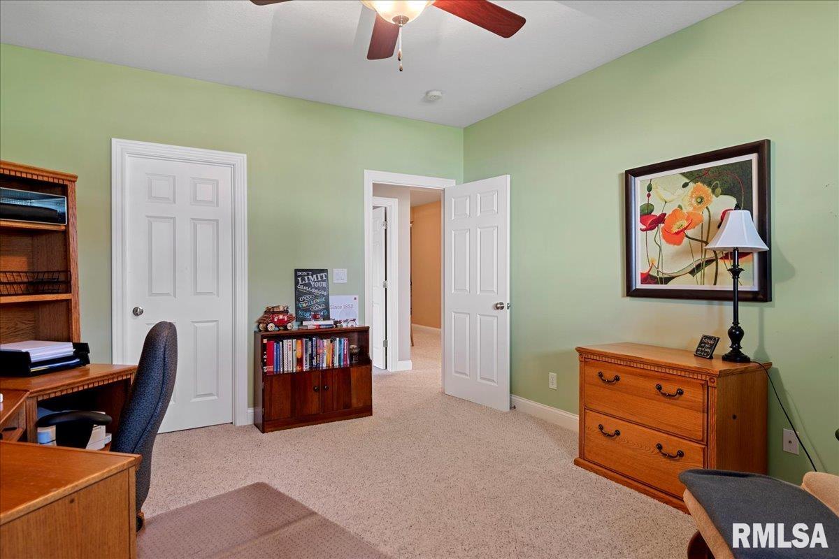 427 Spring Ridge Rochester, IL 62563 - Photo 39 of 52