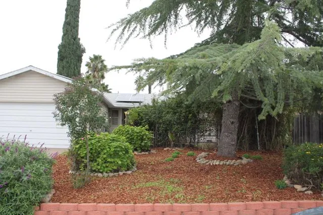 a view of a backyard of the house