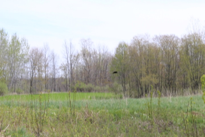 10463 Oak Road Millington, MI 48746 - Photo 1 of 3