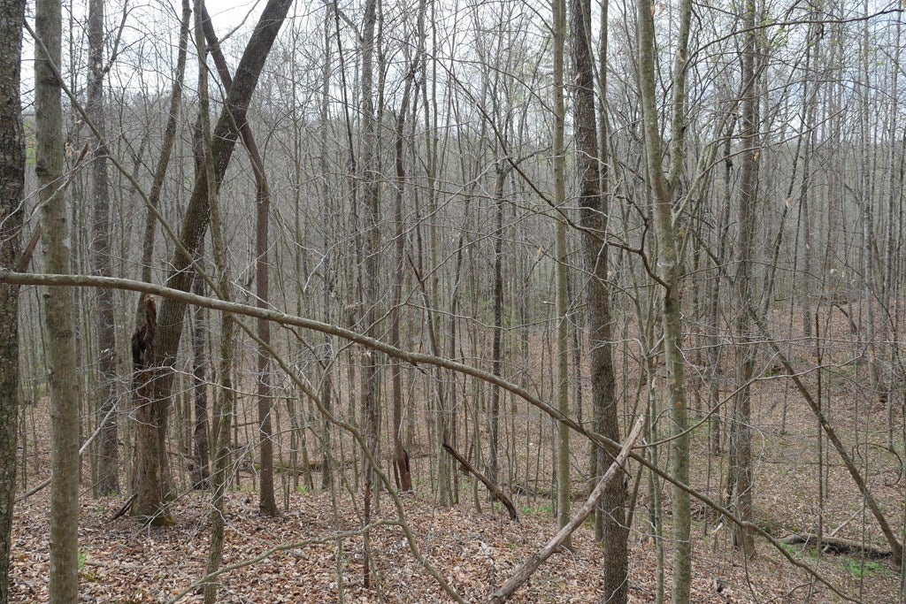 Tbd Valley Spring Road, Unit 1 Jonesville, VA 24263 - Photo 30 of 55 Gallery Image 30