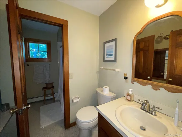 a bathroom with a sink and a toilet