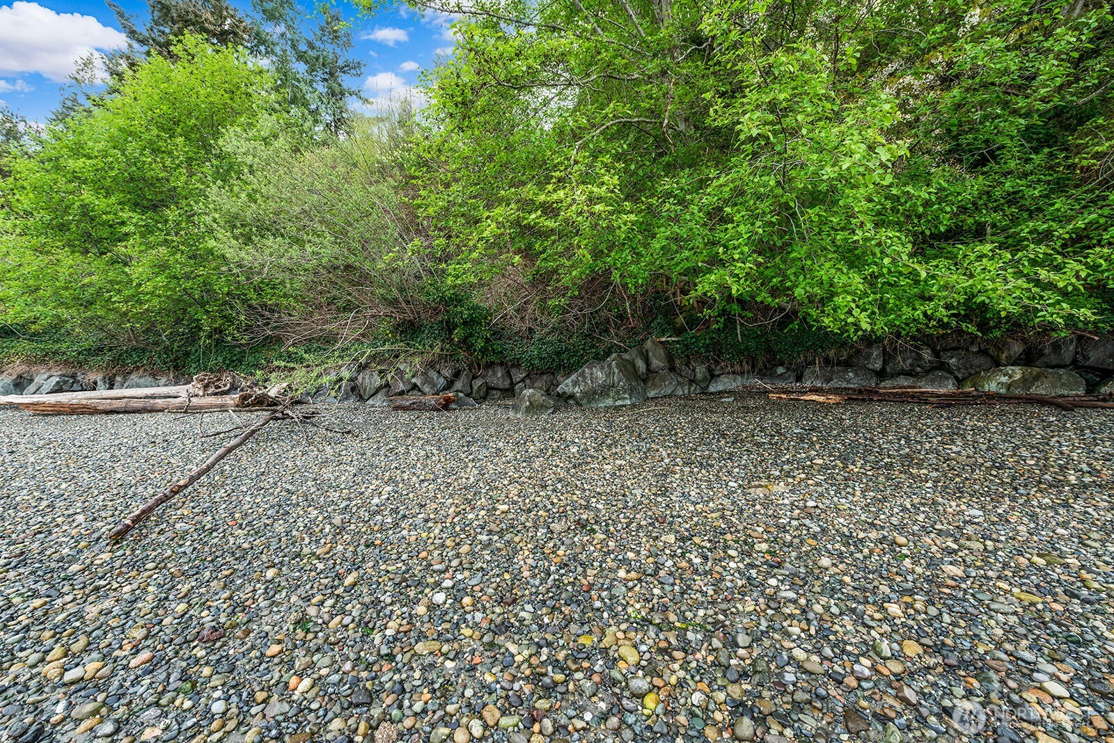 13843 Southwest 248th Street Vashon, WA 98070 - Photo 14 of 26 a view of backyard with green space
