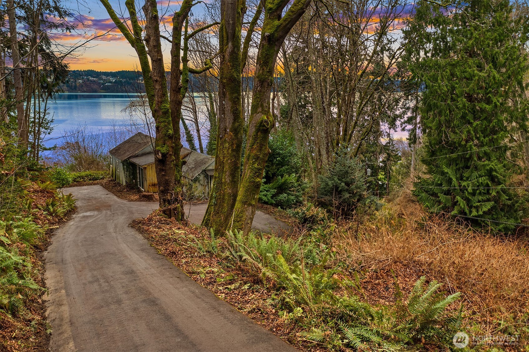 13843 Southwest 248th Street Vashon, WA 98070 - Photo 2 of 26 a view of a yard with plants and trees