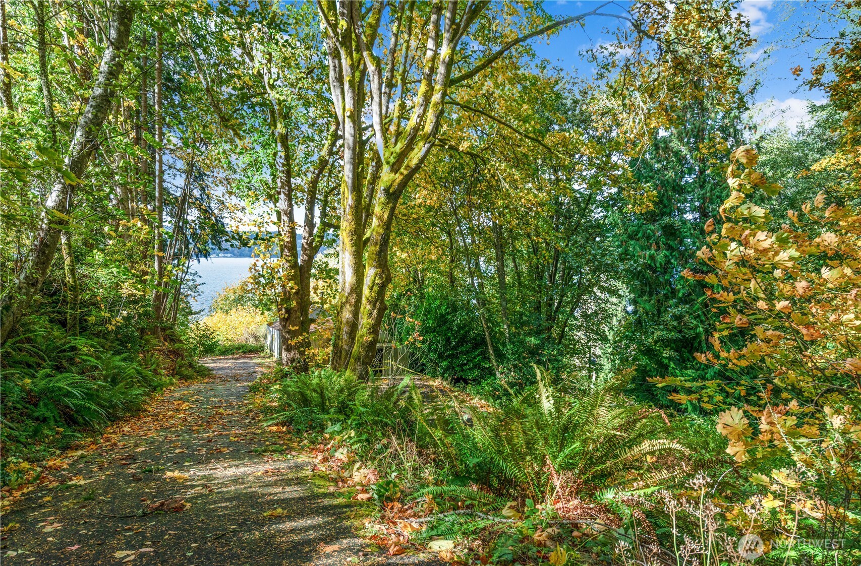 13843 Southwest 248th Street Vashon, WA 98070 - Photo 3 of 26 a view of a yard