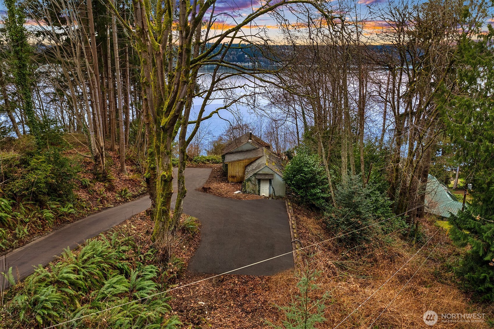 13843 Southwest 248th Street Vashon, WA 98070 - Photo 4 of 26 a view of a yard