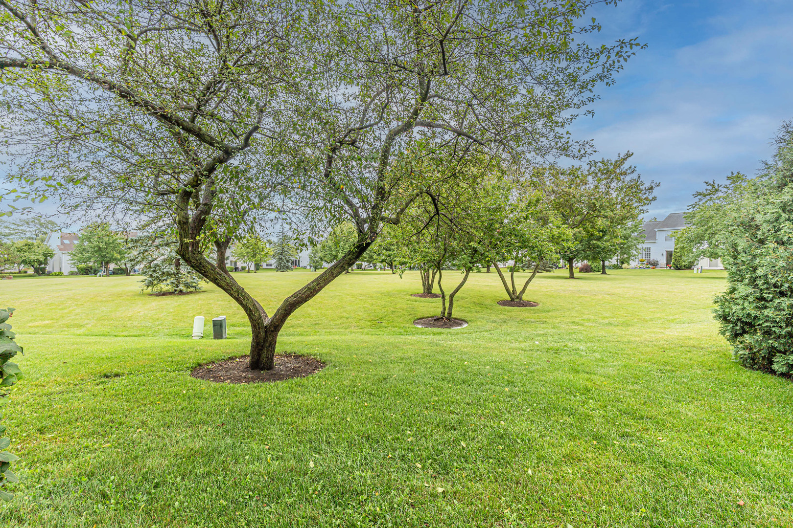 17867 Braewick Road Gurnee, IL 60031 - Photo 24 of 24 Gallery Image 24