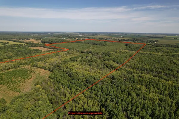 an aerial view of residential building and trees