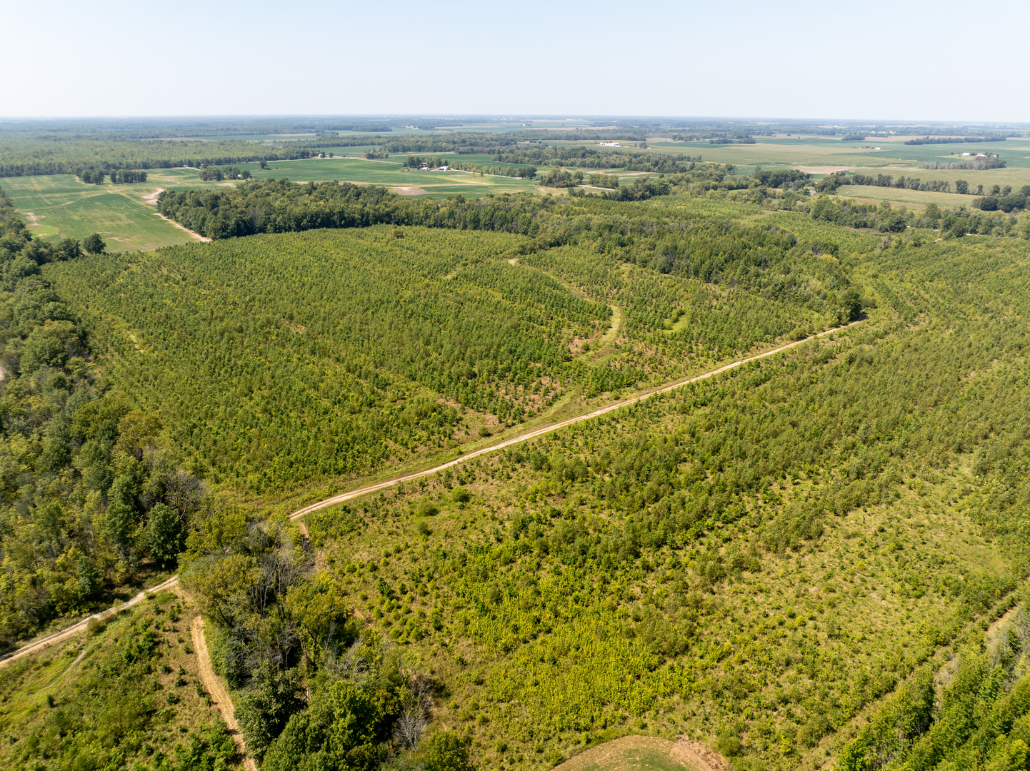 Tract 1 Mint Lane Clay City, IL 62824 - Photo 11 of 24 a view of a city
