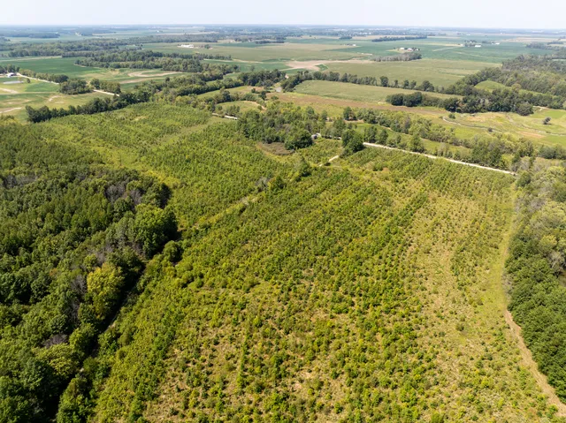 a view of an outdoor space and a yard