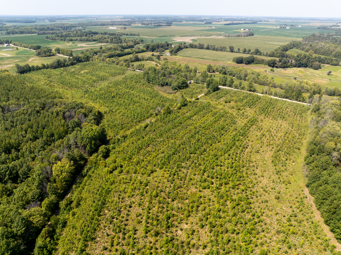 Tract 1 Mint Lane Clay City, IL 62824 - Photo 13 of 24 a view of an outdoor space and a yard