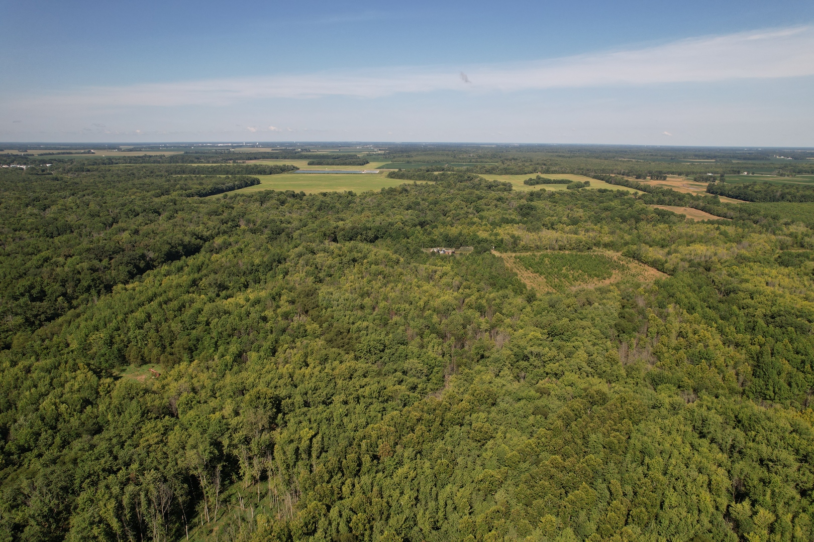 Tract 1 Mint Lane Clay City, IL 62824 - Photo 14 of 24 a view of an ocean